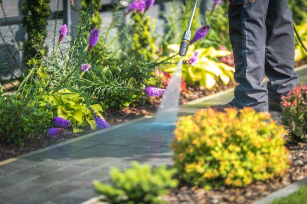 Best Spring Cleaning  in Louisiana, MO